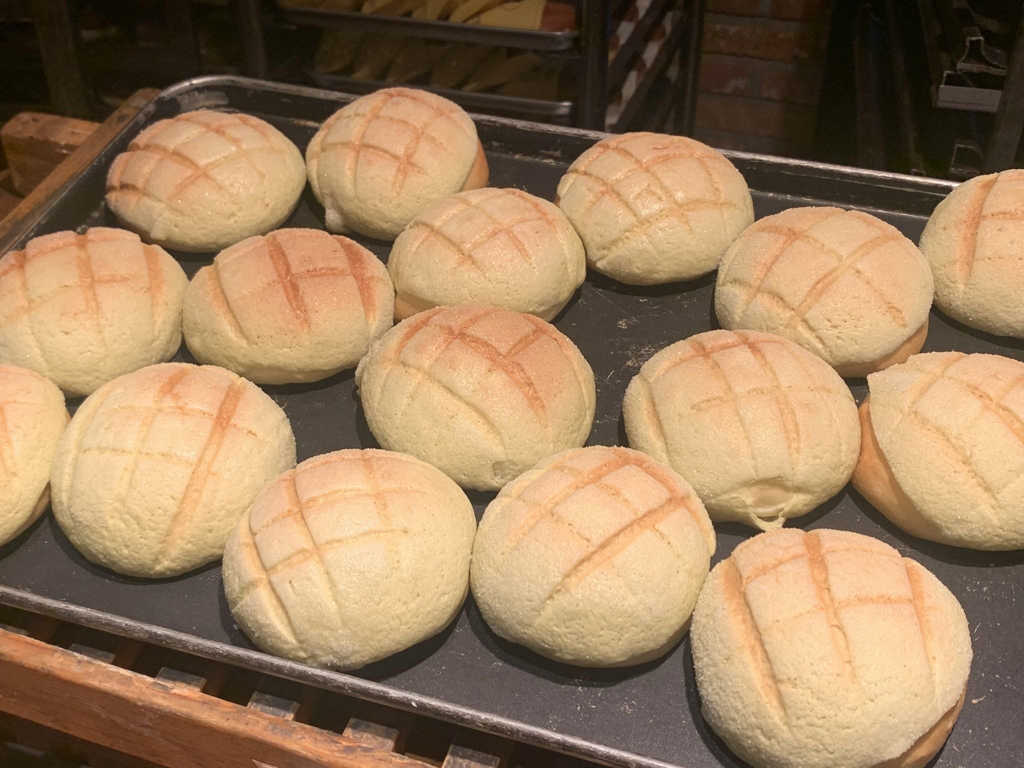 A tray of freshly baked melonpan